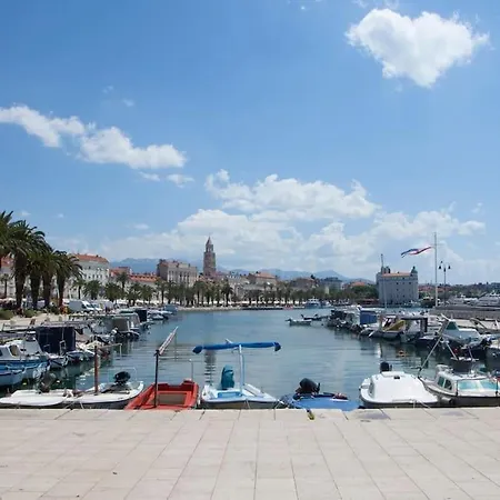 Brand New Damir In Center *