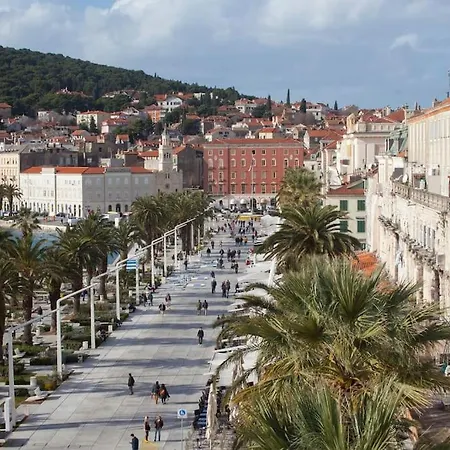 Brand New Damir In Center