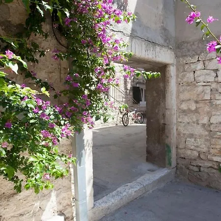 Brand New Damir In Center Lägenhet *